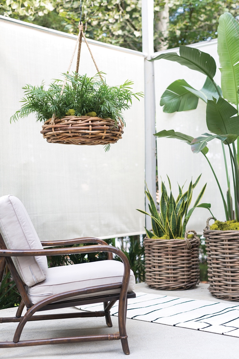 Cabana Hanging Basket Planter, Set of Two - Image 4