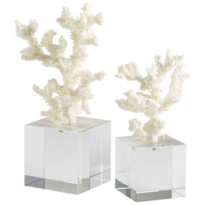 Coral Branch Shell Sculpture Collection
