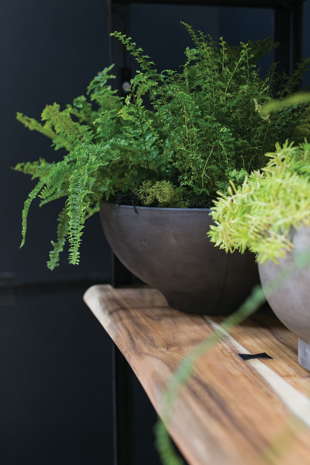 Elegante Concrete Nesting Bowls, Set of Three DISCONTINUED - Image 2