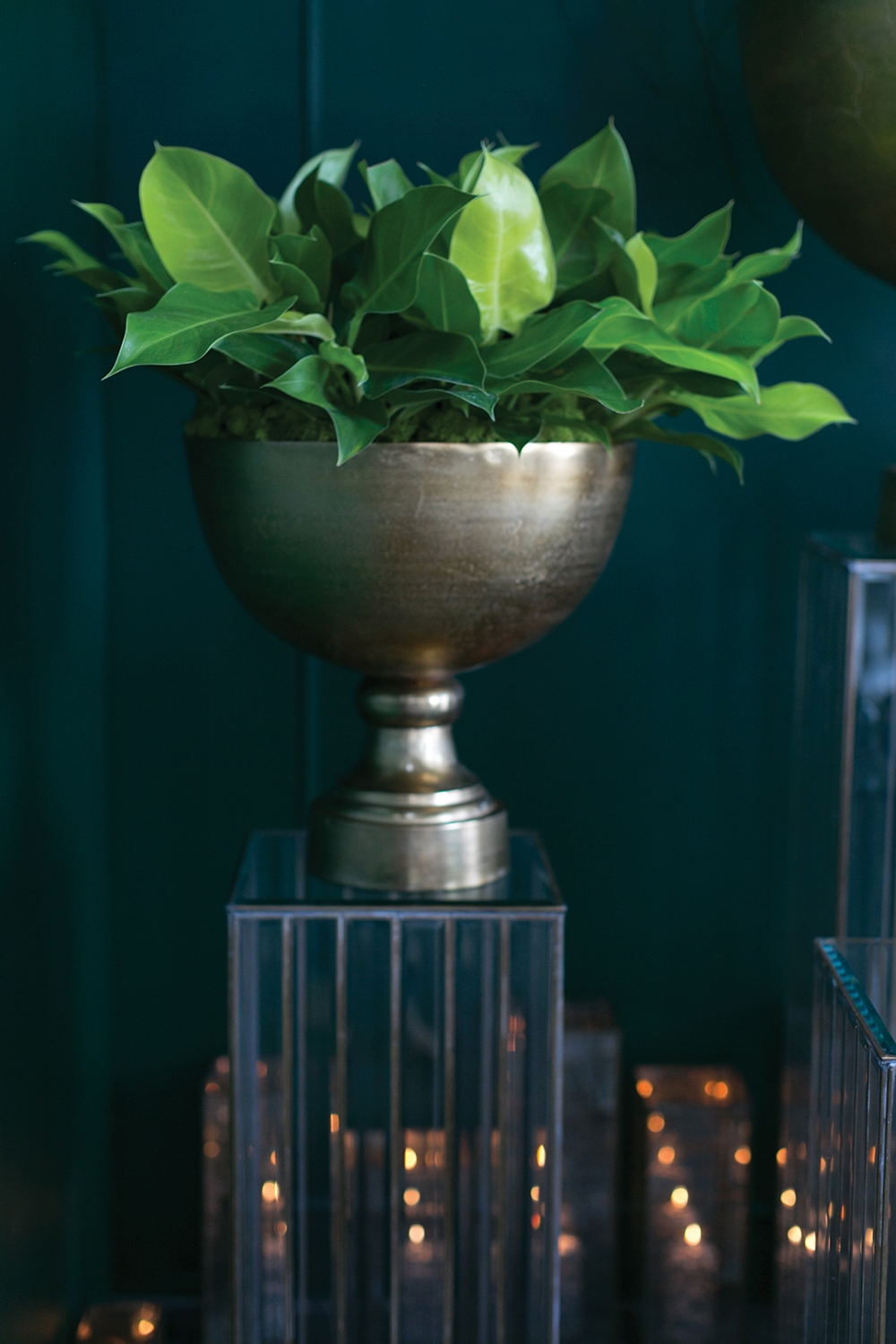 Enrich Oversized Footed Display Bowl - Discontinued - Image 2