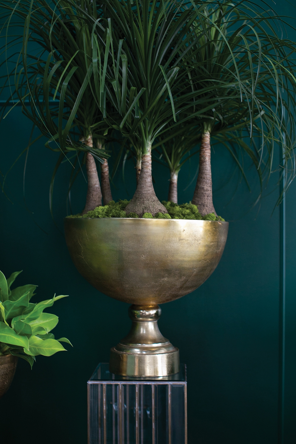 Enrich Oversized Footed Display Bowl - Discontinued - Image 3