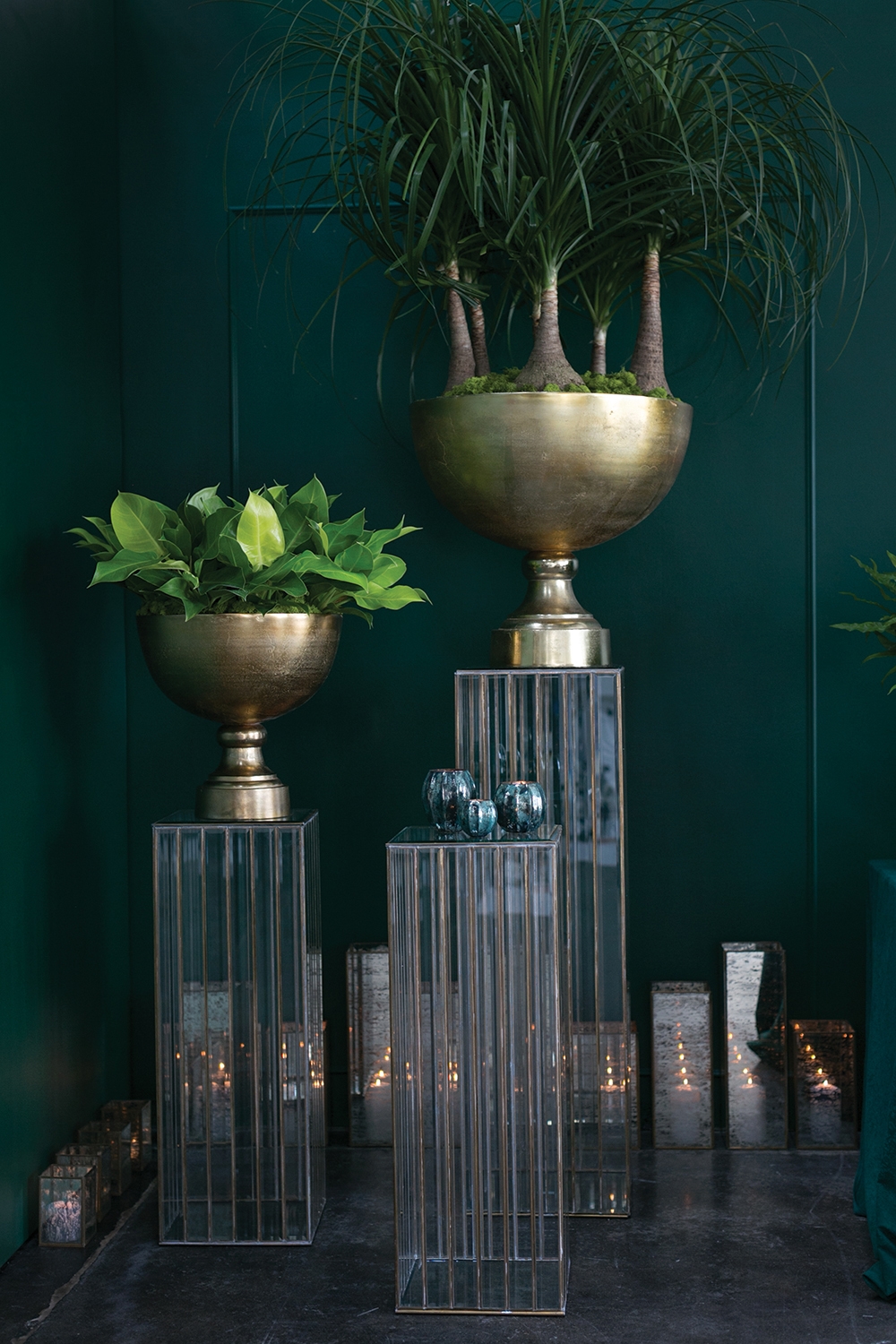 Enrich Oversized Footed Display Bowl - Discontinued - Image 4