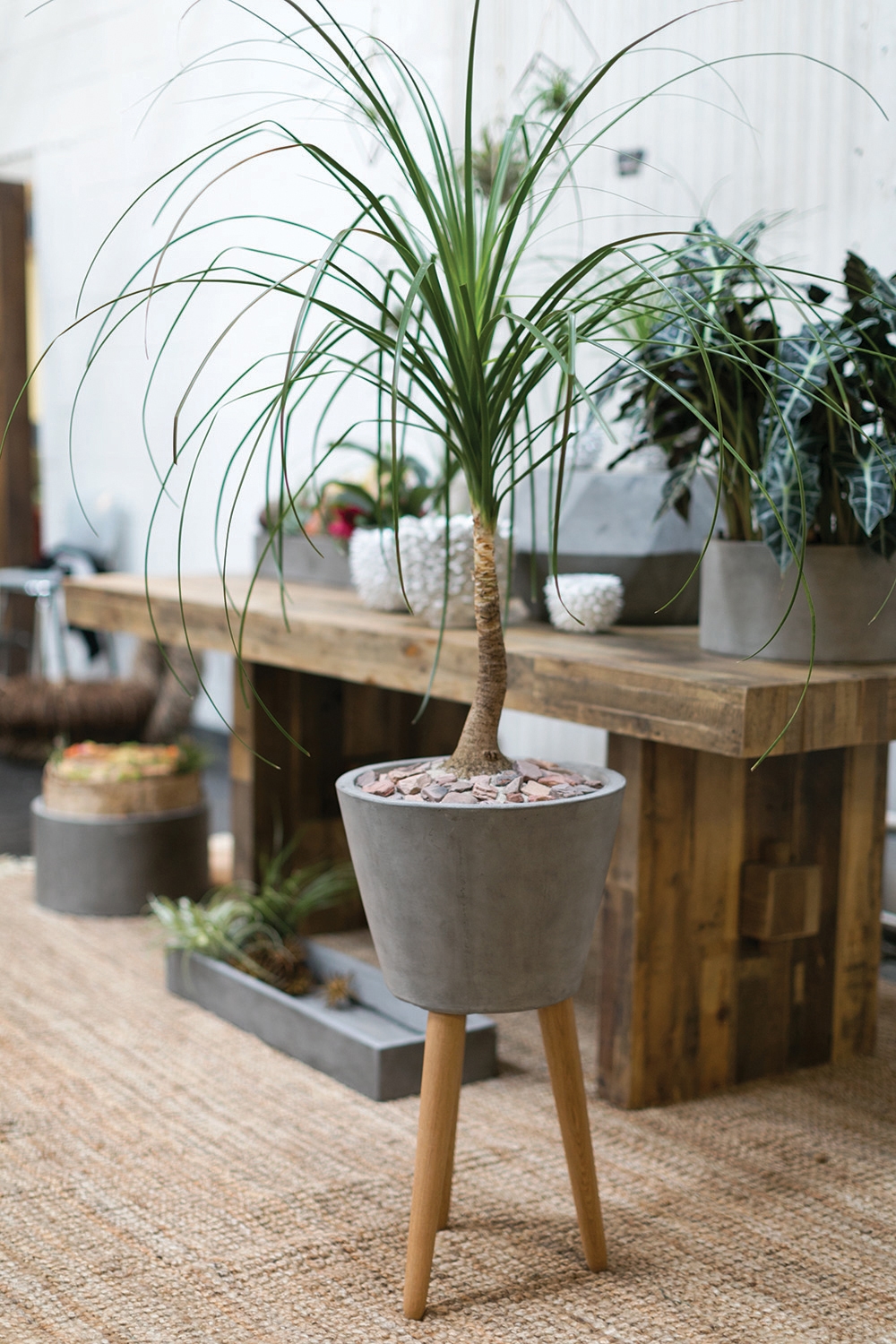 Jacobsen Mid Century Footed Concrete Planter