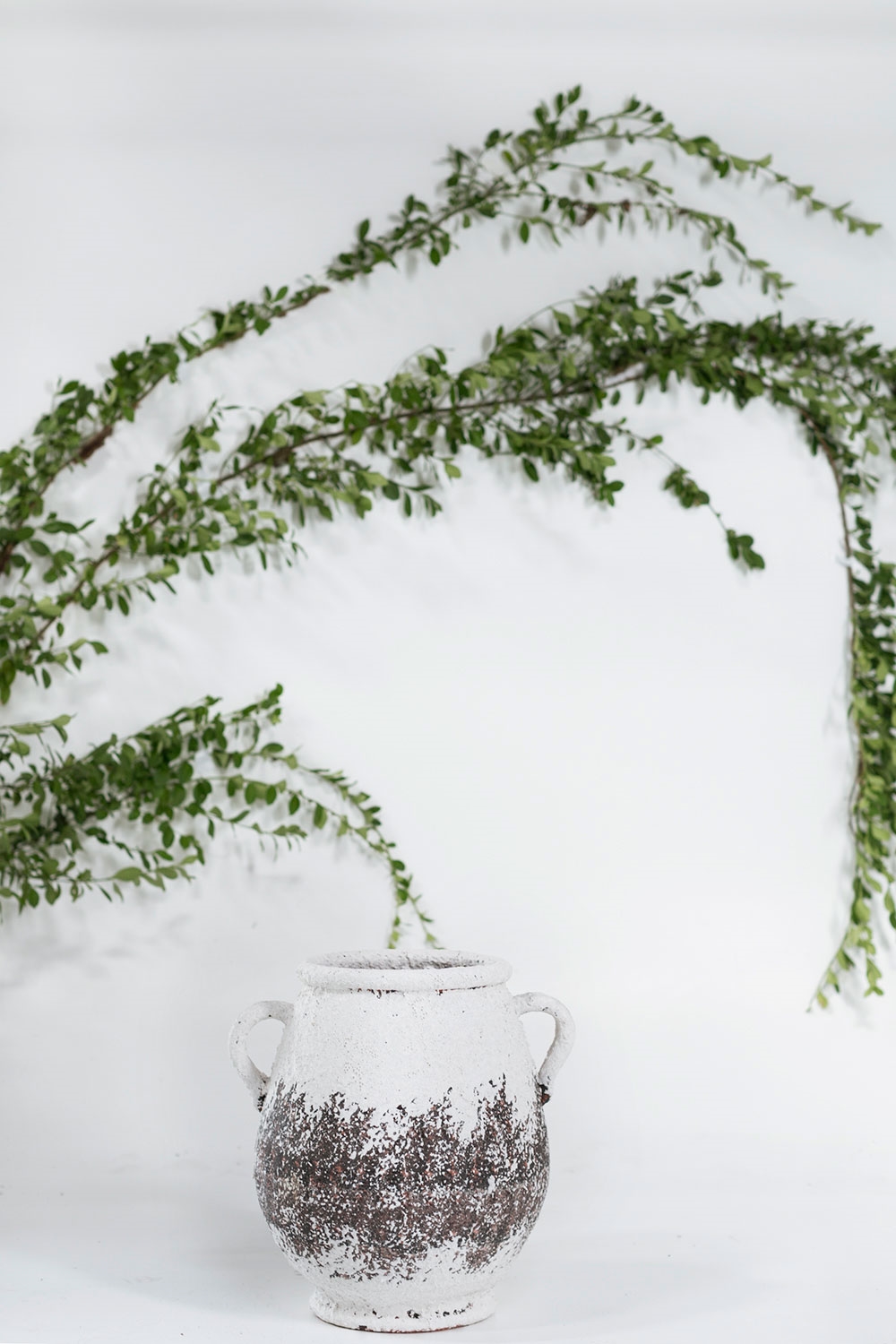 Jasper Italian Pot DISCONTINUED - Image 2