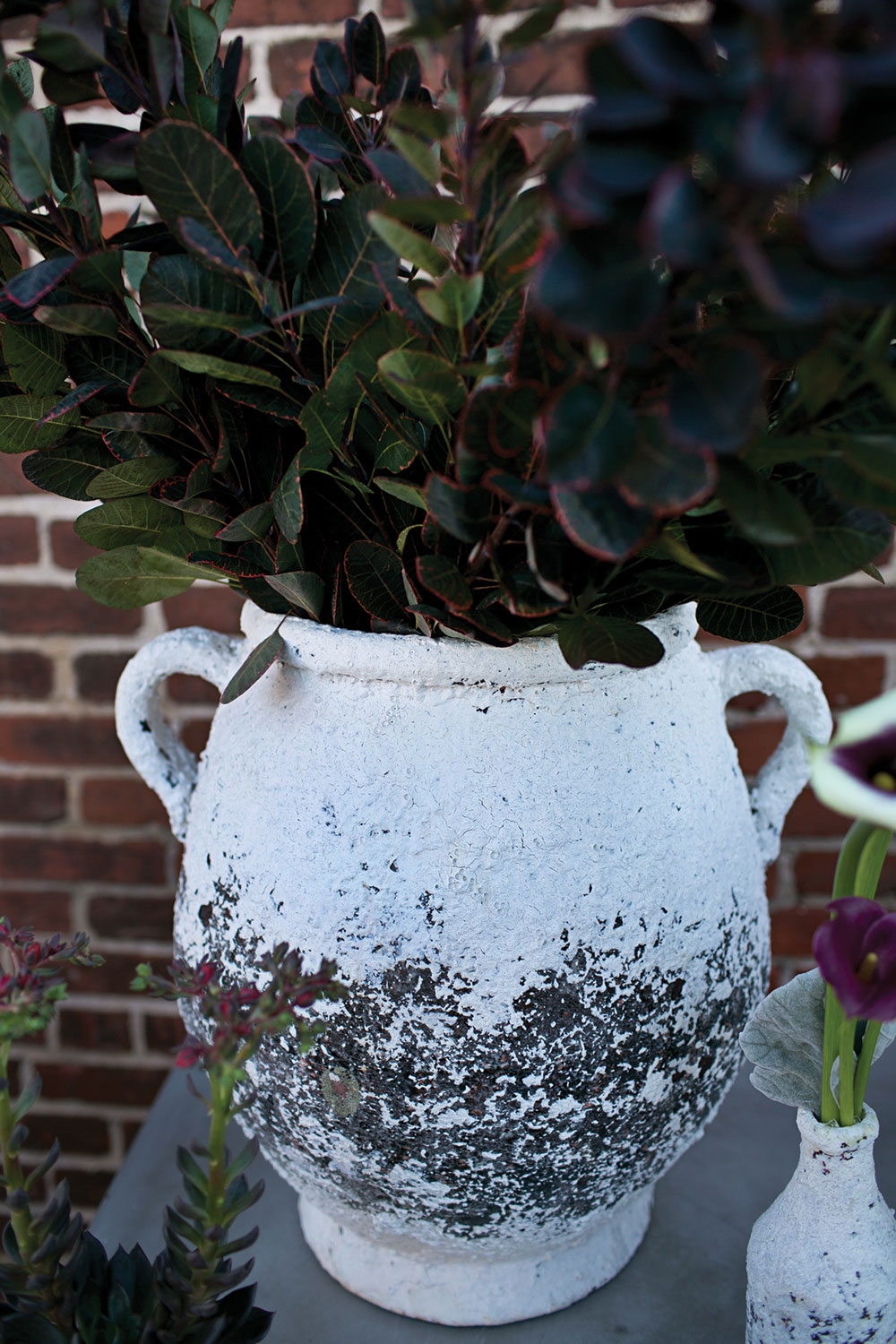 Jasper Italian Pot DISCONTINUED - Image 3