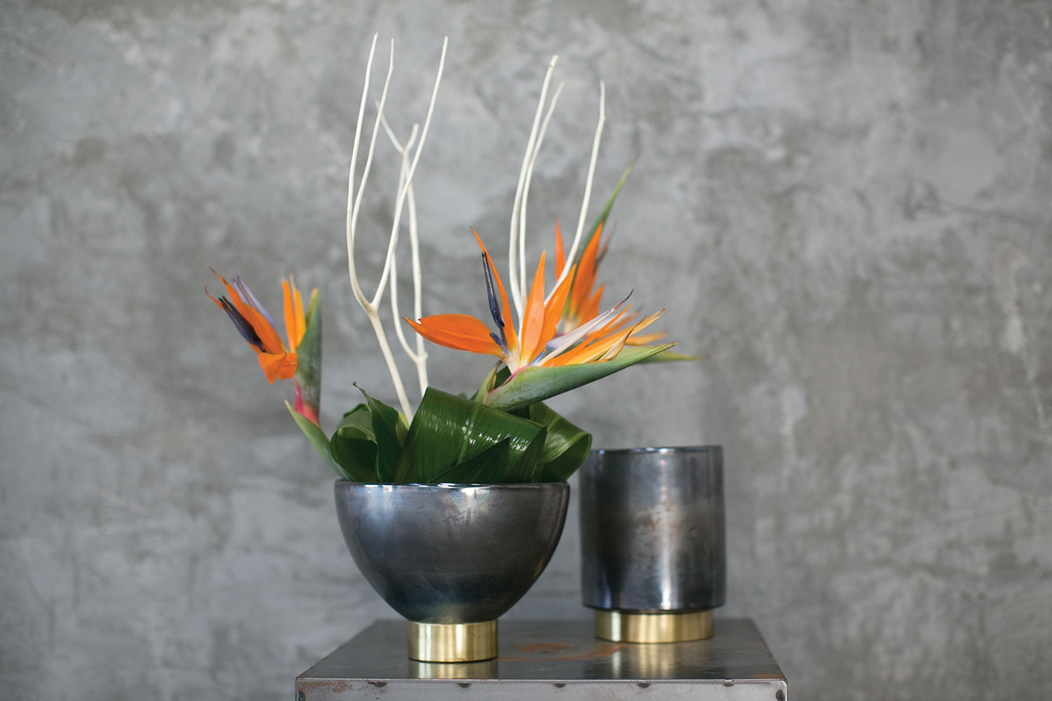 Lafayette Display Bowl - Discontinued - Image 2