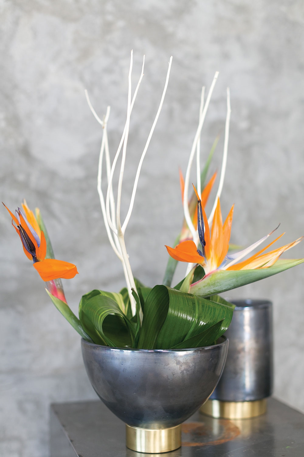 Lafayette Display Bowl - Discontinued - Image 3