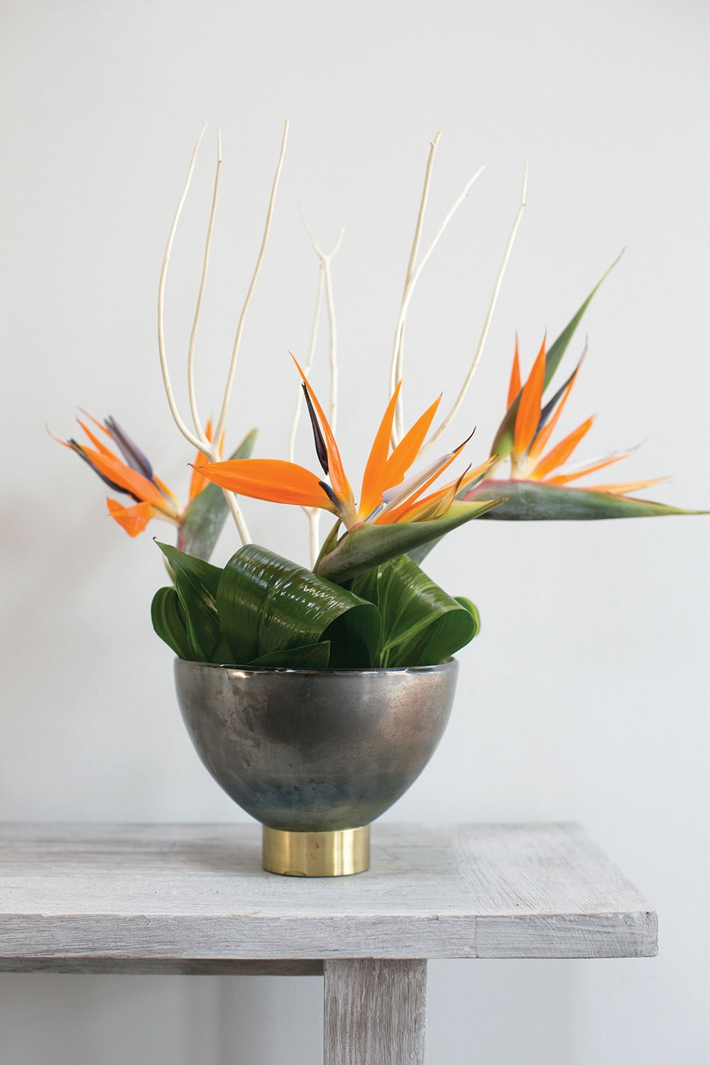 Lafayette Display Bowl - Discontinued - Image 4