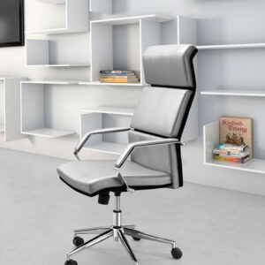 lider-pro-office-chair-modern-moss-manor-ZM205312_lifestyle-web.jpg