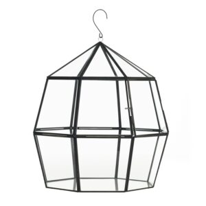 Miles Hanging Terrarium Lantern, Set of Two