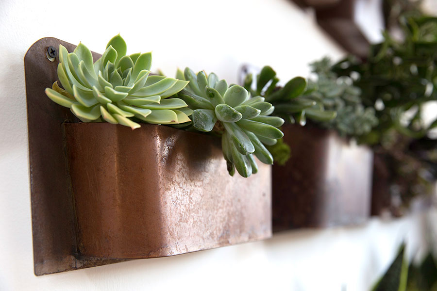 Rustic Wall Planter, Set of 12 - Discontinued - Image 2
