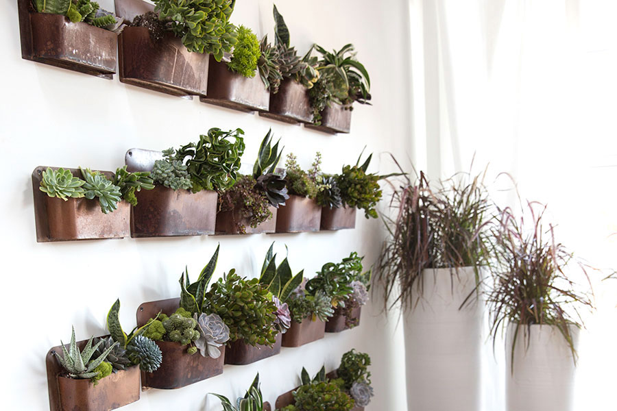 Rustic Wall Planter, Set of 12 - Discontinued - Image 3