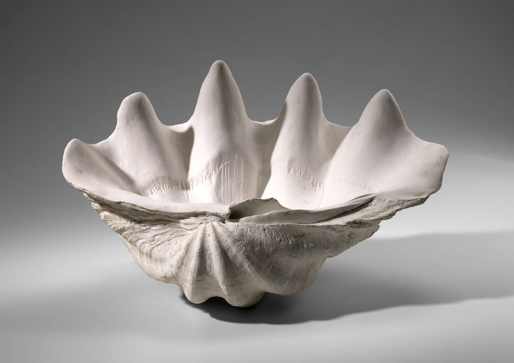 Clam Shell Bowl