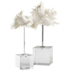 Murexiella Shell Sculpture Collection