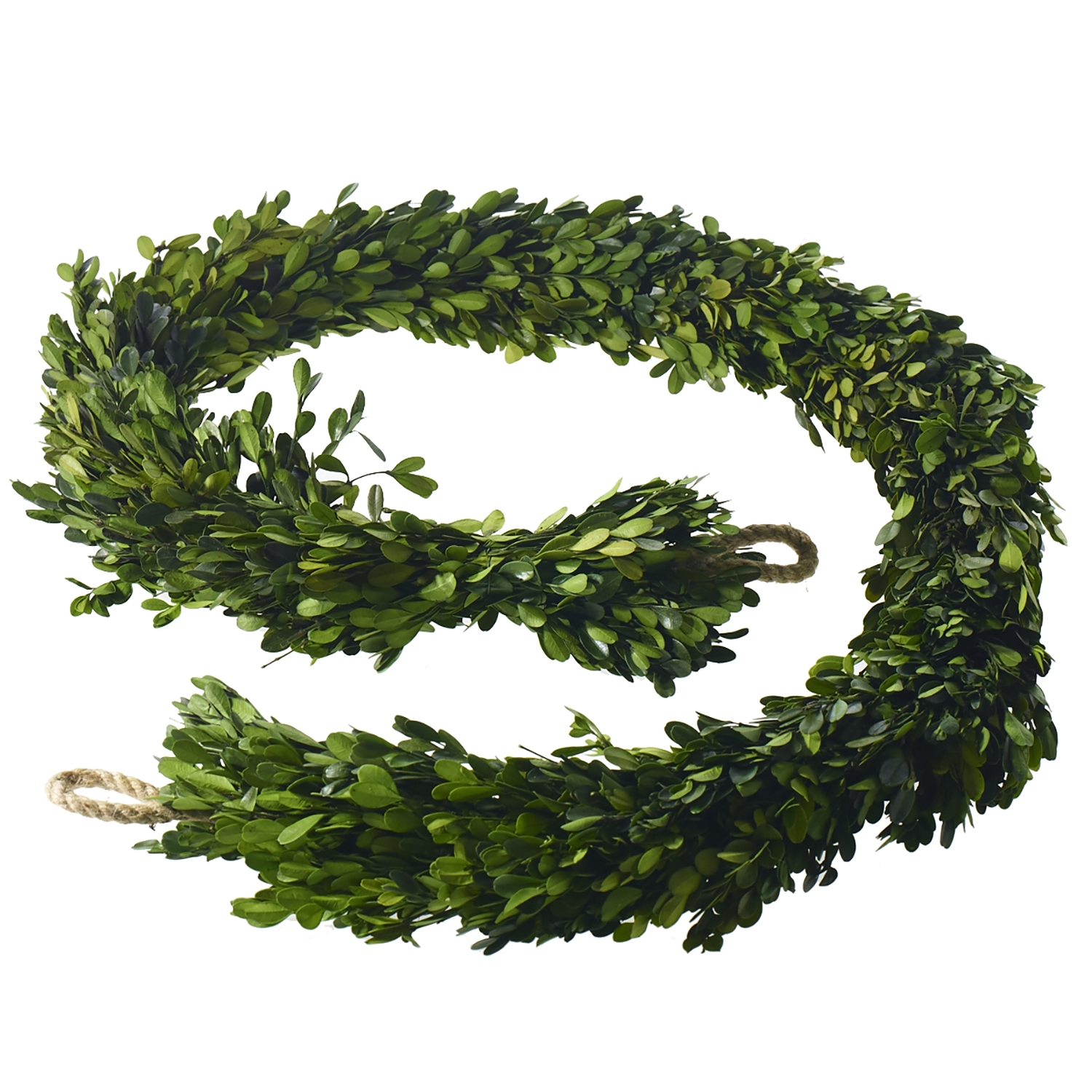Preserved Boxwood Garland, Set of Two - Discontinued