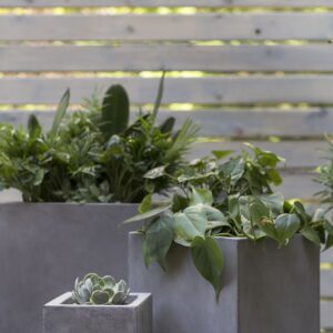 newport-compact-square-concrete-cube-planter-moss-manor-AD95946.75-lifestyle.jpeg