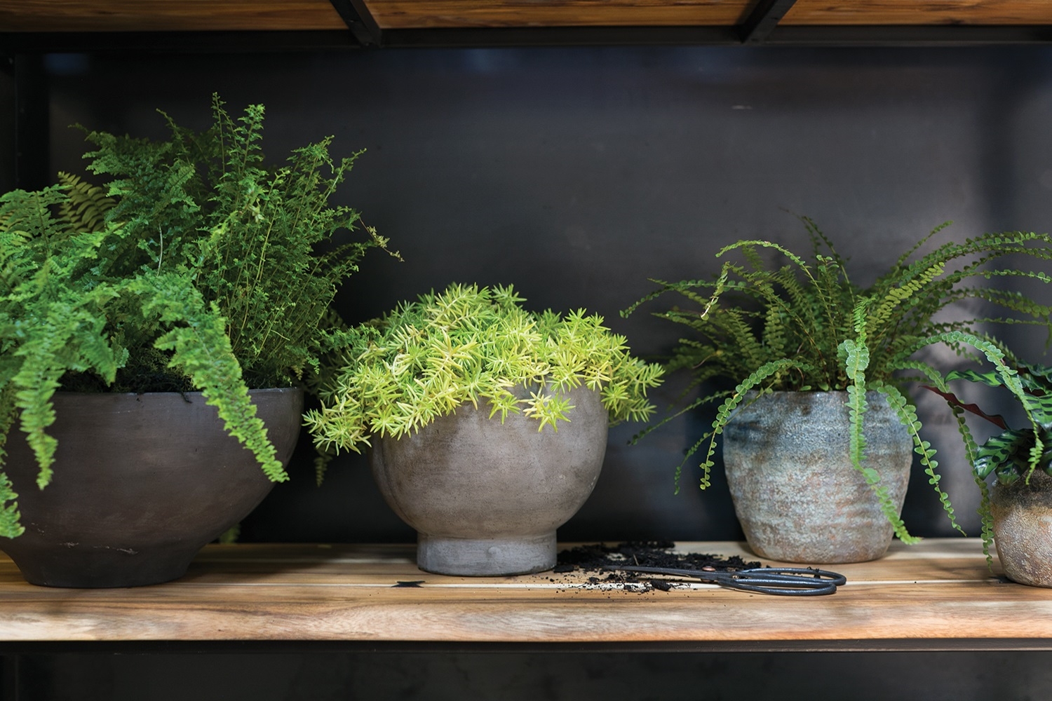 Newport Concrete Compote Planter