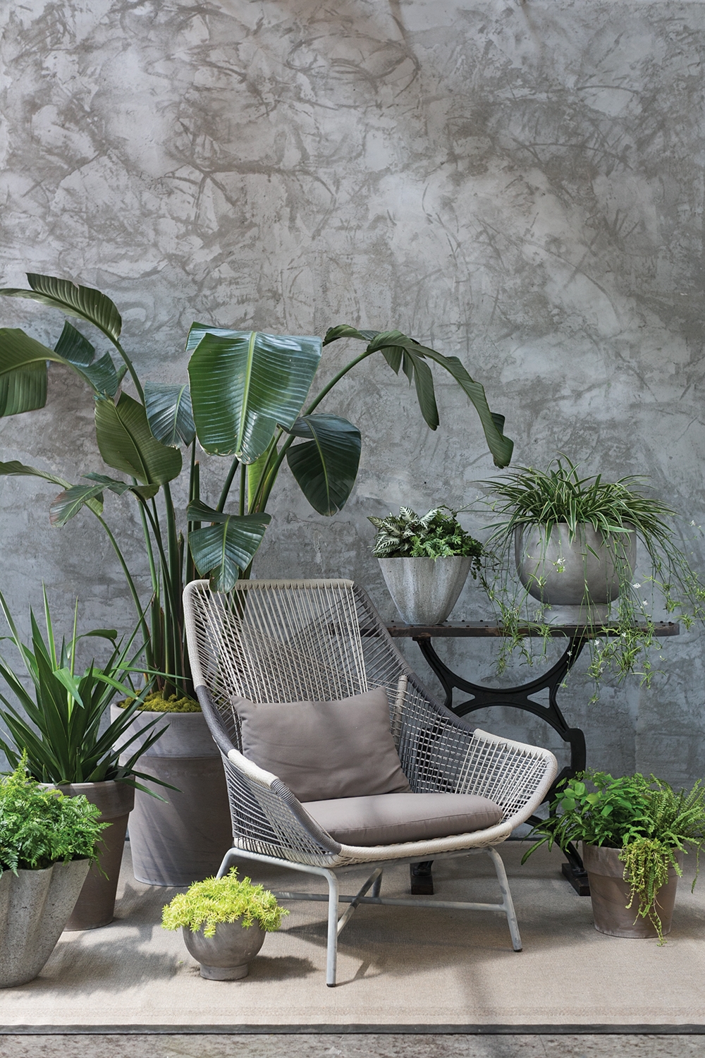 Newport Round Concrete Compote Planter