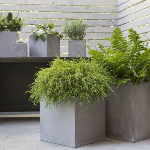 newport-modern-square-concrete-cube-planter-moss-manor-AD95951.75-lifestyle.jpeg