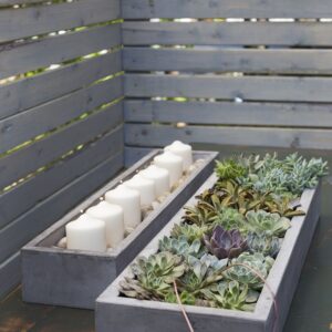 newport-rectangular-gray-concrete-tray-planter-moss-manor-lifestyle-2.jpeg