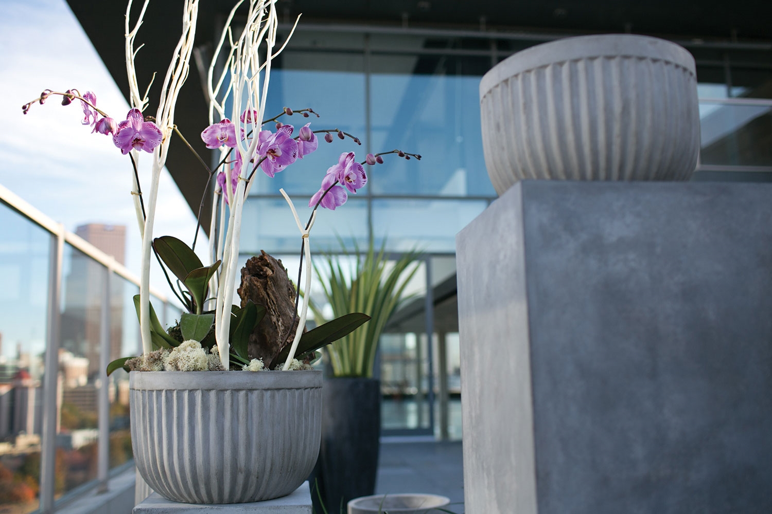 Oakland White Fluted Concrete Planter Lifestyle
