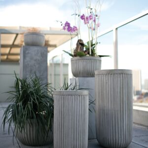 oakland-concrete-planter-lifestyle-moss-manor-AD96275-00_2_.jpg