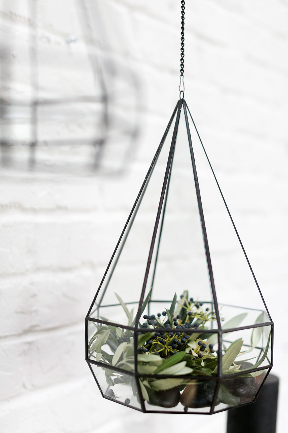 Parker Hanging Terrarium Set - Image 4