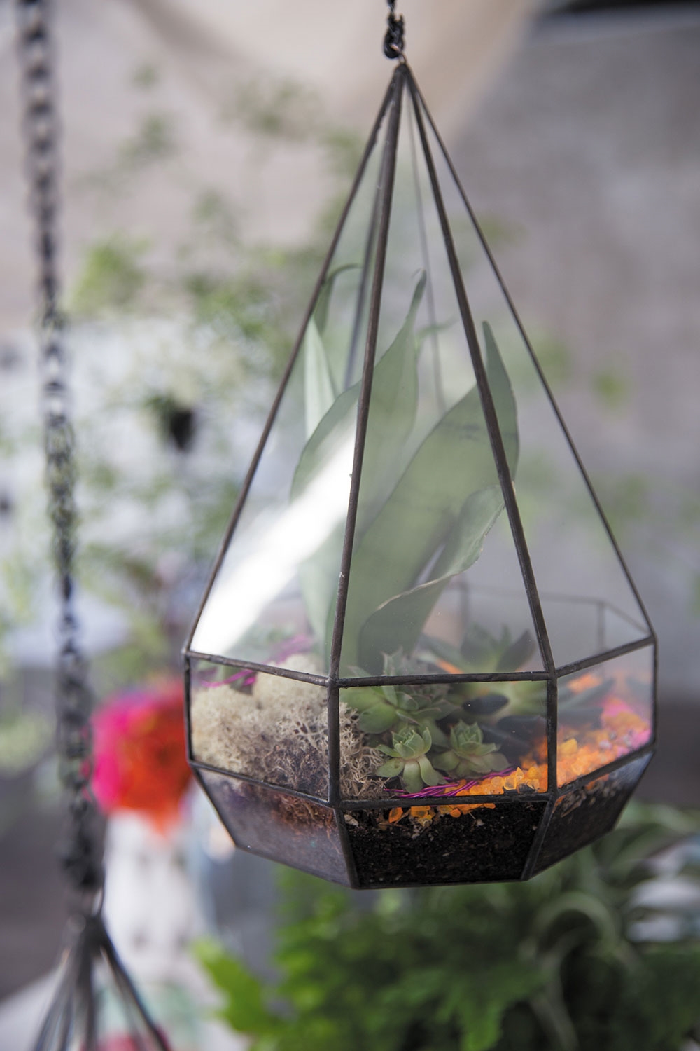Parker Hanging Terrarium Set - Image 5