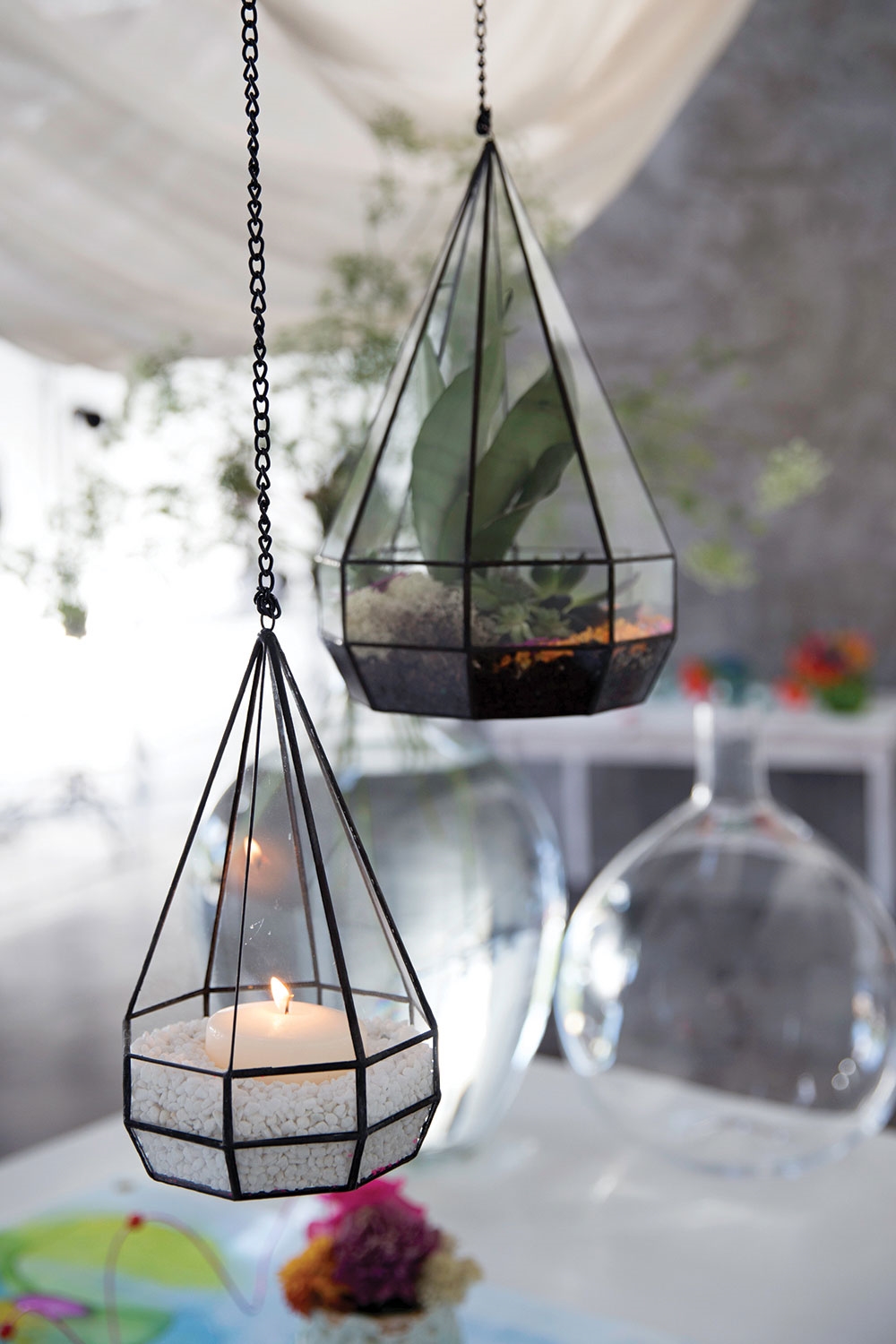Parker Hanging Terrarium Set - Image 8