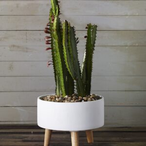 parkview-mid-century-modern-stone-planter-three-legged-base-white-moss-manor-AD96810-00_2_.jpg