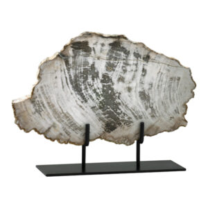 Petrified Wood Sculpture