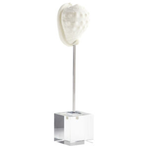 Phalium Shell Sculpture