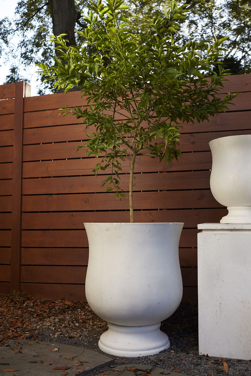 Portland White Concrete Urn - Image 8