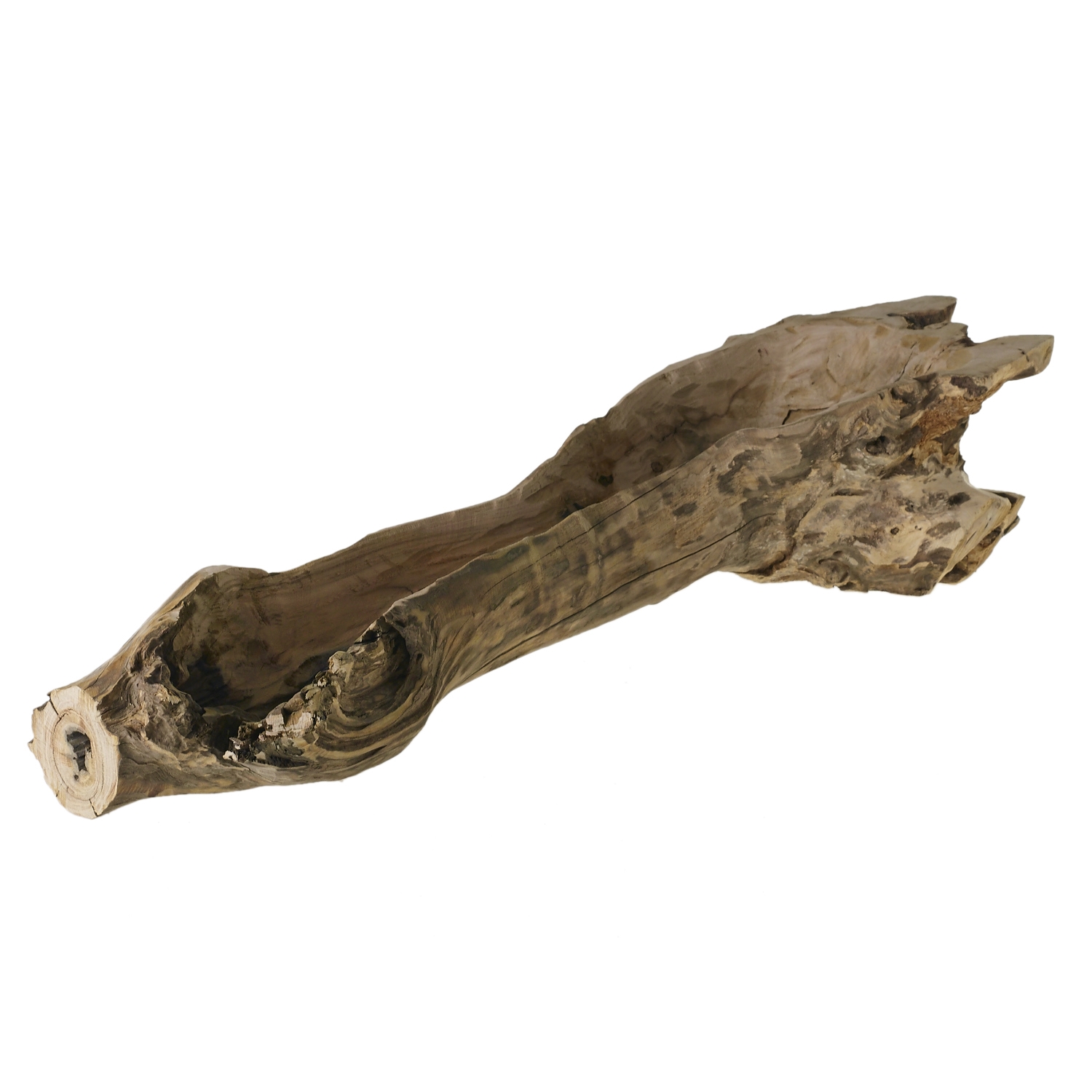 Reclaimed Chestnut Pieces, Set of Three - Discontinued - Image 5
