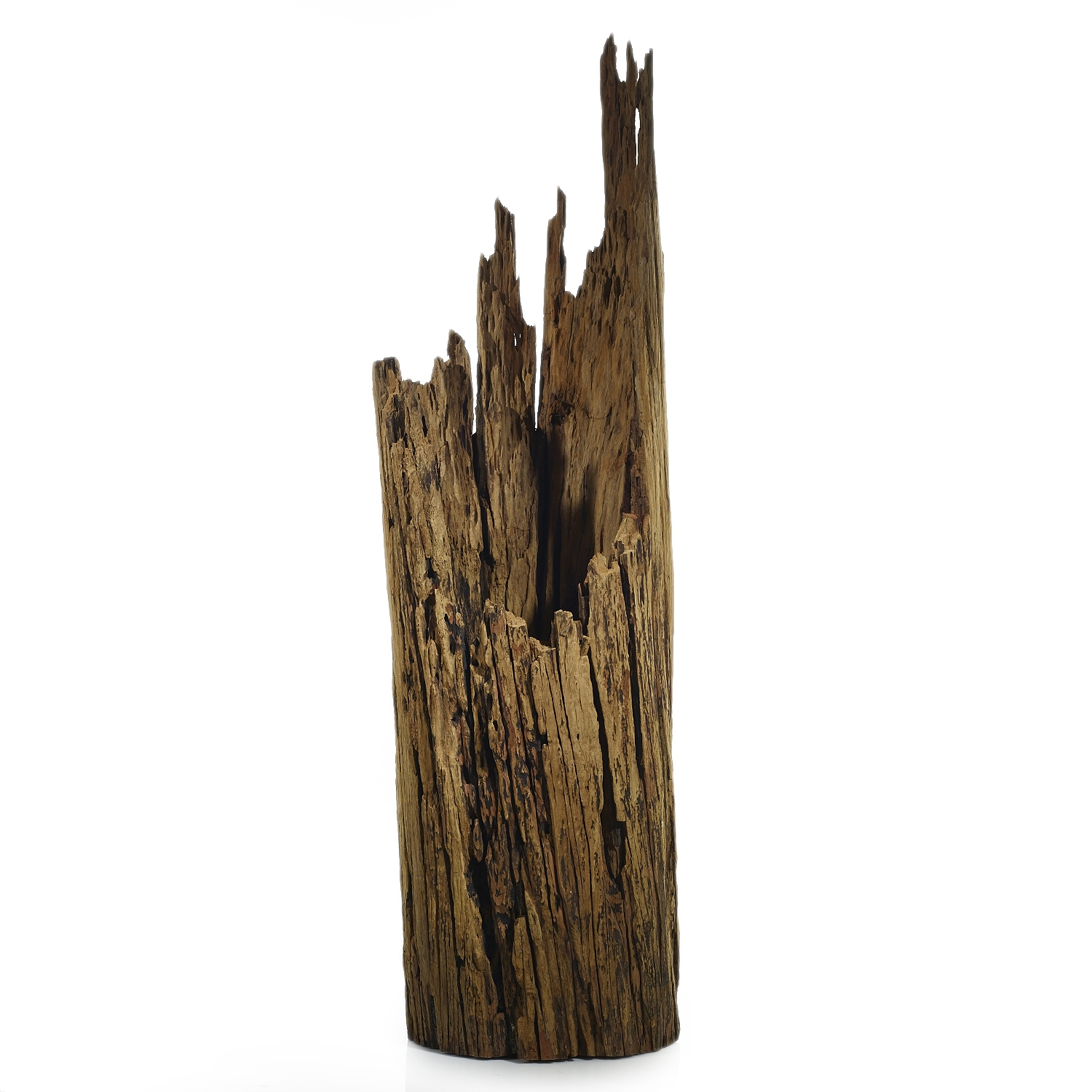 Reclaimed Driftwood Statue DISCONTINUED - Image 8