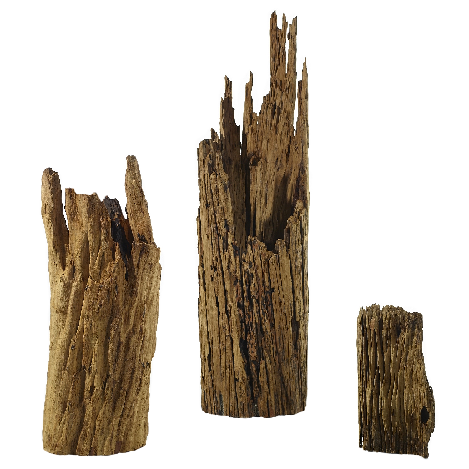 Reclaimed Driftwood Statue DISCONTINUED