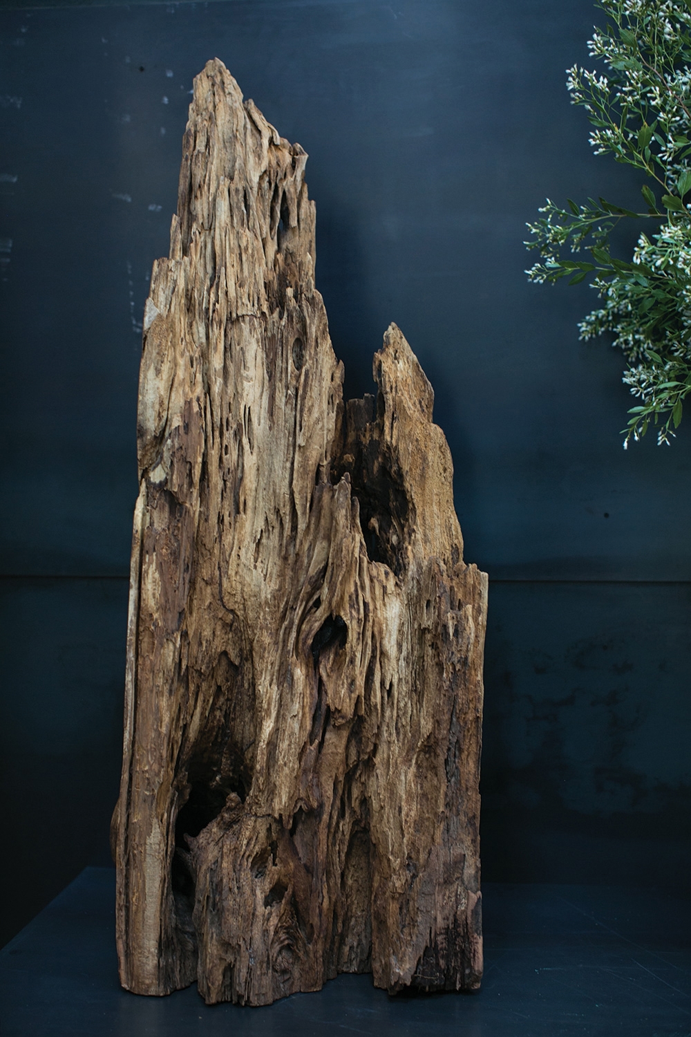 Reclaimed Driftwood Statue DISCONTINUED - Image 5