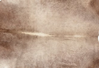 Sand Cowhide - Image 2