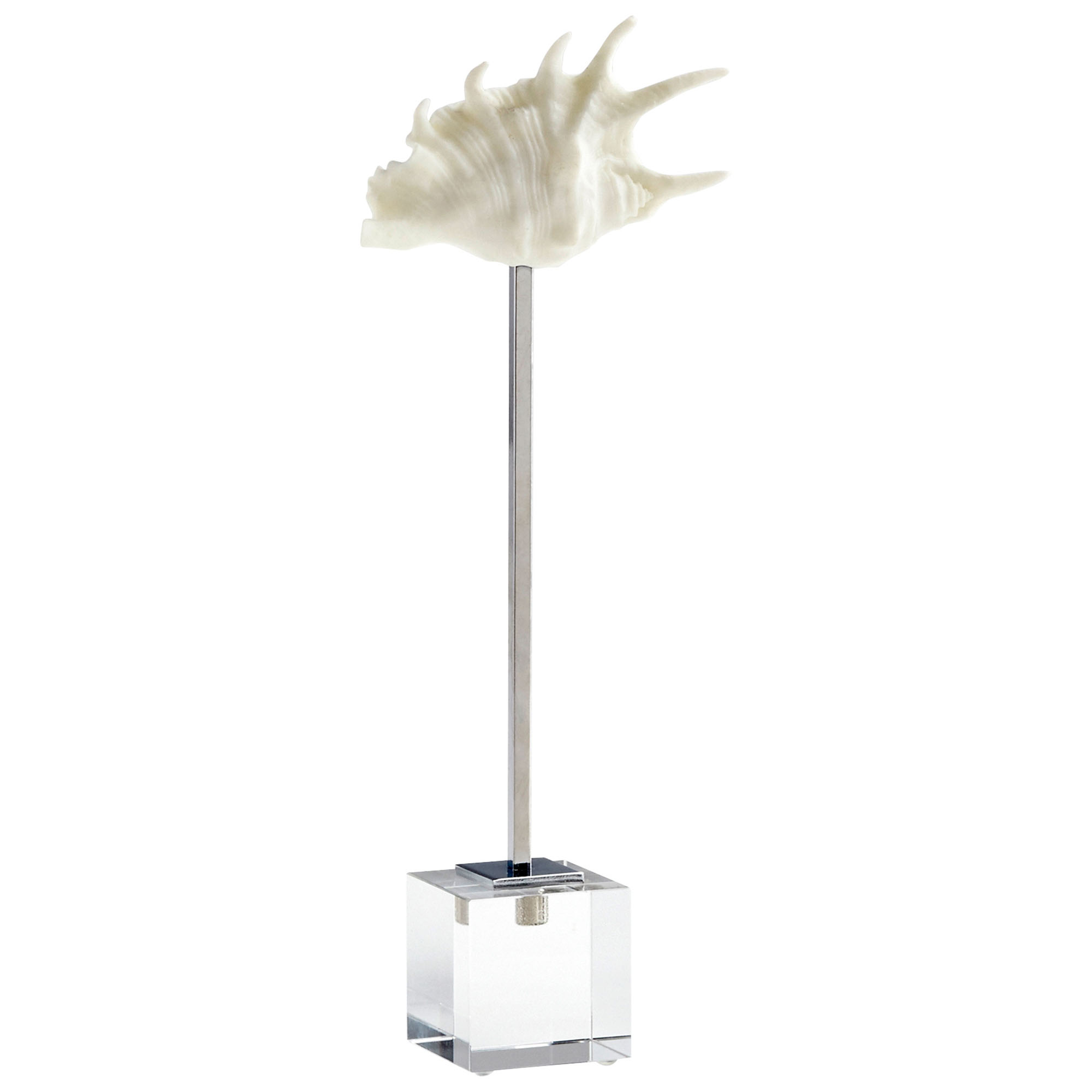 Siratus Shell Sculpture