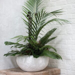 tahitian-bowl-planter-lifestyle-moss-manor-AD76910-00_2_.jpg