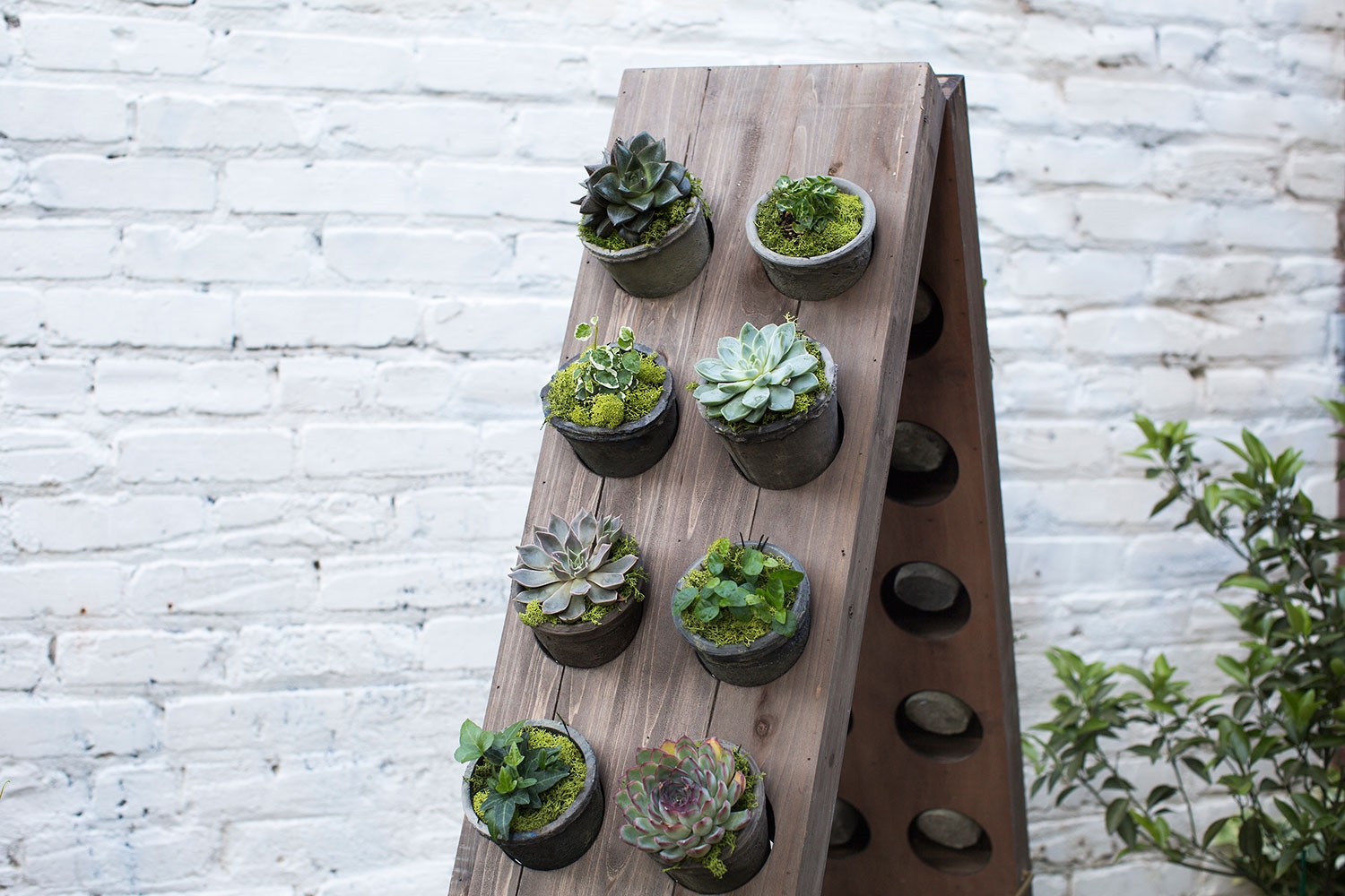 Vertical Garden Lifestyle