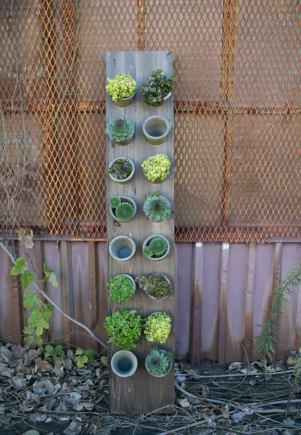 Vertical Garden Lifestyle