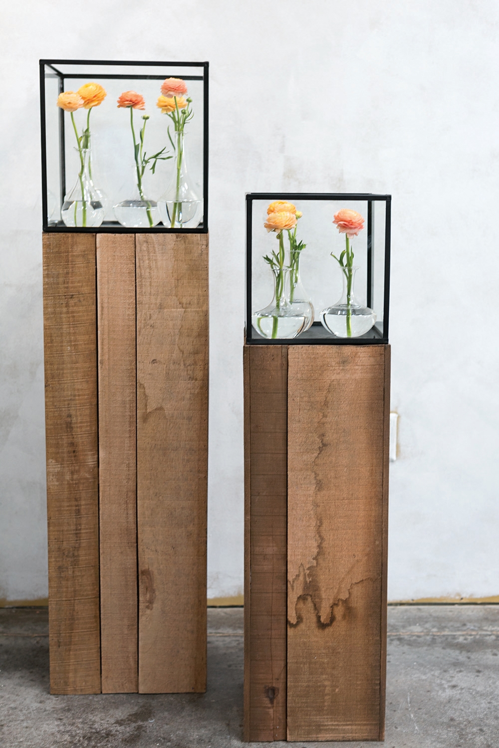 Wharf Column and Terrarium Collection - Image 2