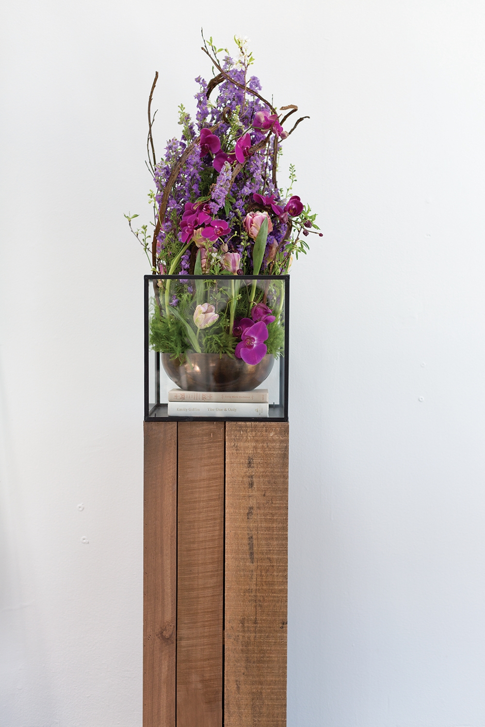 Wharf Column and Terrarium Collection - Image 3