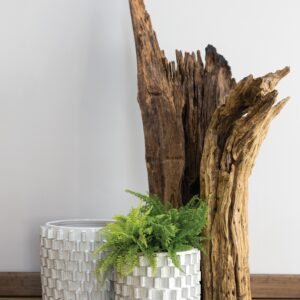 zona-planter-lifestyle-moss-manor-AD98300-00_2_.jpg